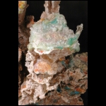 In the Palms of the Castle detail 16x10 in.jpg